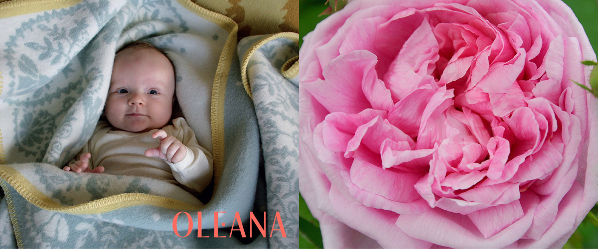 Oleana Blankets and Throws